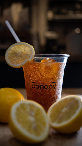 Canopy Coffee - Visual