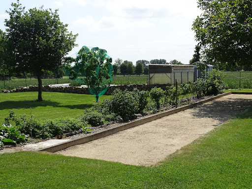 Photo de Les Hortensias à Yvignac-la-Tour (22350)