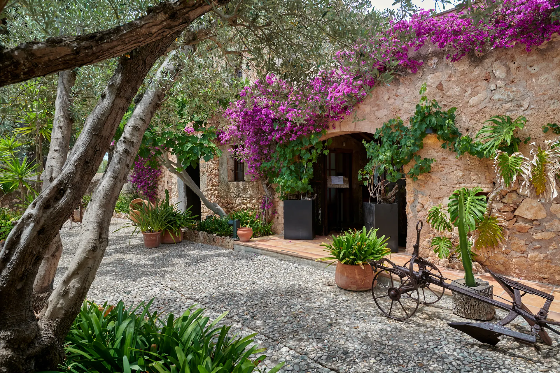 Restaurante - Residencia Son Floriana
