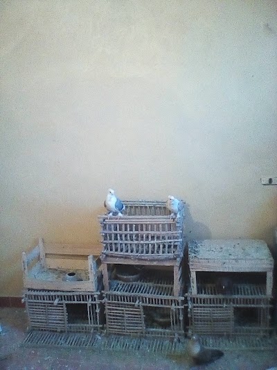 Photos of Zorba Cafe & Restaurant