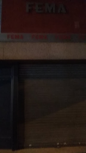 FEMA - Visual