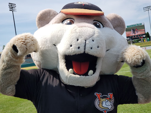 Tri-City ValleyCats - Thumbnail