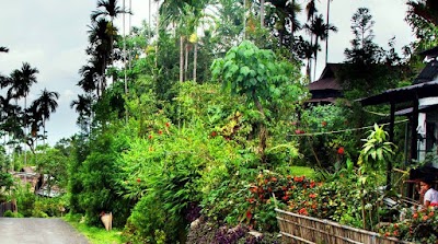 Photos of មណ្ឌលបង្ហាញកសិ-ទេសចរណ៍ Baray Agrico-Tourism Community