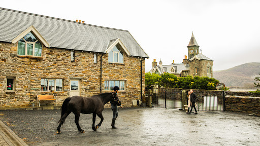 Coes Faen Spa Lodge