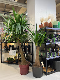 Photo n°13 de Leroy Merlin à Paris (Magasin d'outillage)