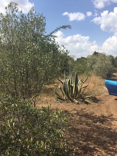 Photos of Colobus Cottages