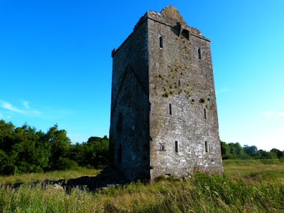 Photos of Merlin Park Woods