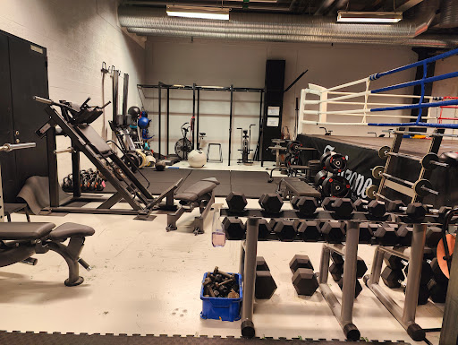 Fightzone Malmö - Visual