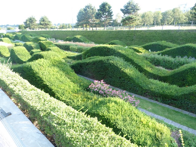 Place around image