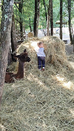 Photo n°1 de Les ani'maux de Popo à Agonac (Ferme pédagogique)