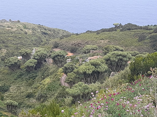 Mirador de La Tosca