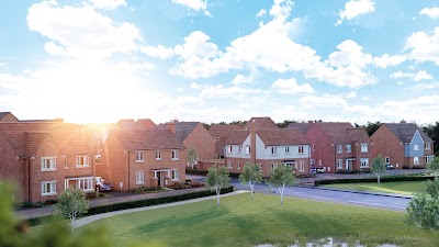 William Davis Homes - Lace Fields