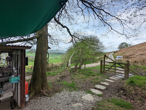 Copse Camp - Visual