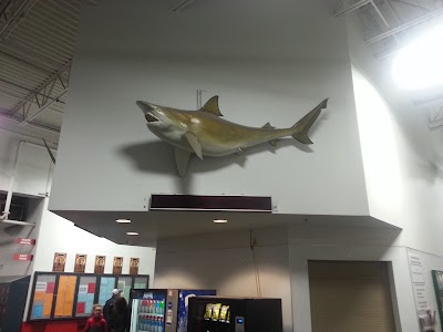 Photos of Patterson Ice Center