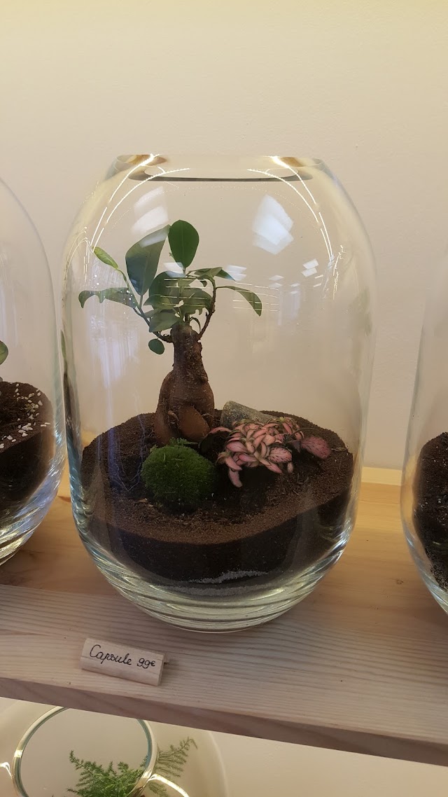 Jade Design