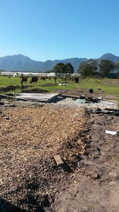 Photos of Outeniqua Treefarm