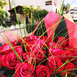 Photo n°15 de Florilège fleuriste à Saint Cyprien à Saint-Cyprien (Fleuriste)