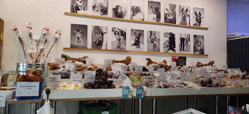 Bones for Dogs - Visual