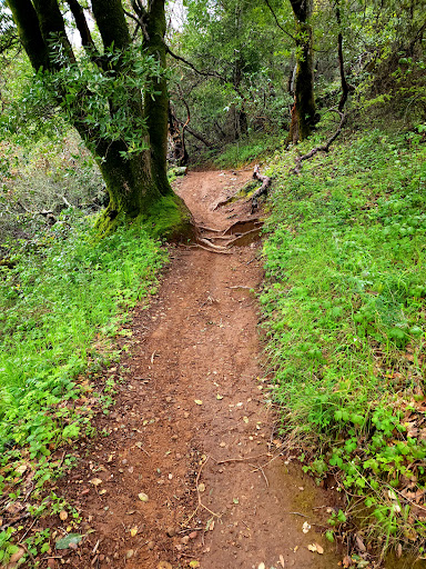 Harry Barbier Memorial Park - Thumbnail