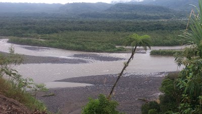 Photos of Campamento Mangayacu