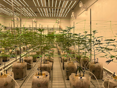 Photo of ReMaine Humble Farms Medical Weed Dispensary
