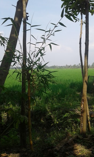 Photos of Mbabrixan City