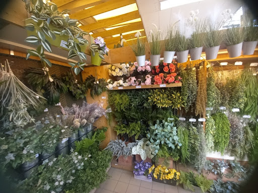 Viridea Garden Center Montebello della Battaglia (PV) - Thumbnail