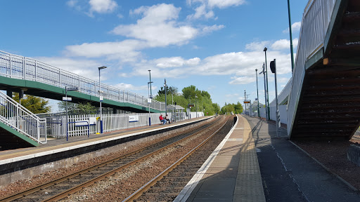 Camelon - Visual
