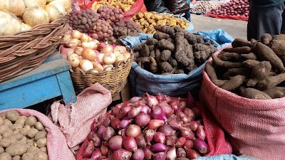 Photos of Mega Molibol