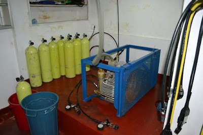 Photos of International Diving School