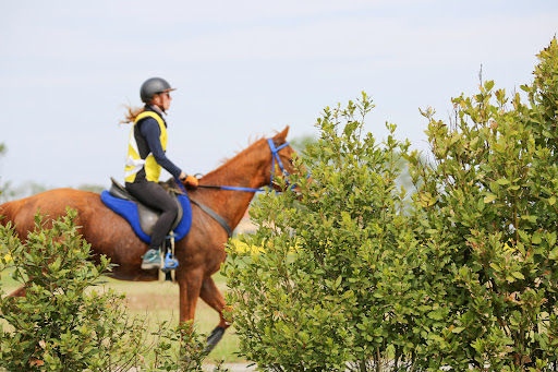 Maneggio Colline Metallifere Endurance 75Avventura