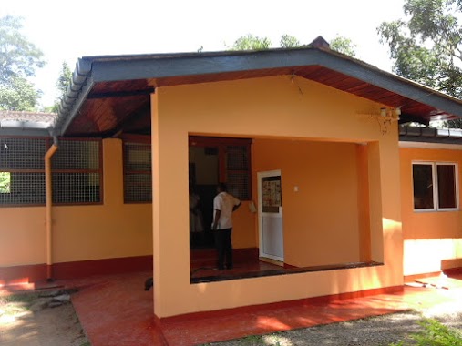 Niyagama Rural Hospital, Author: Udaya Kumara