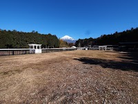 ドッグラン石原