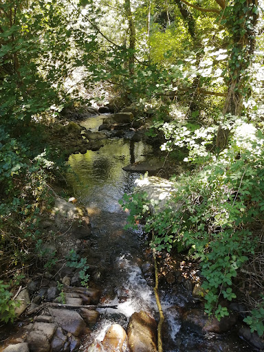 Fiume Ferrera - Visual