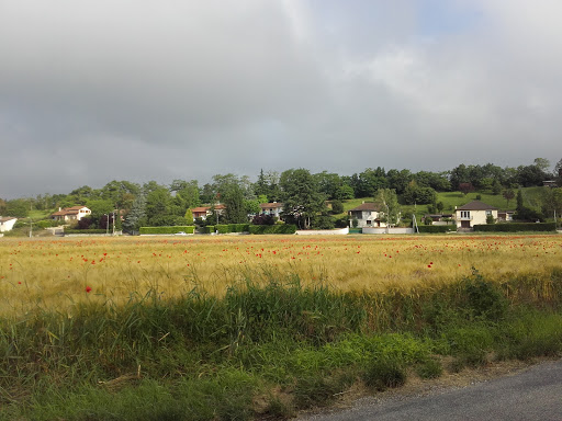 Photo de Retraité à Vaux-en-Bugey (01150)