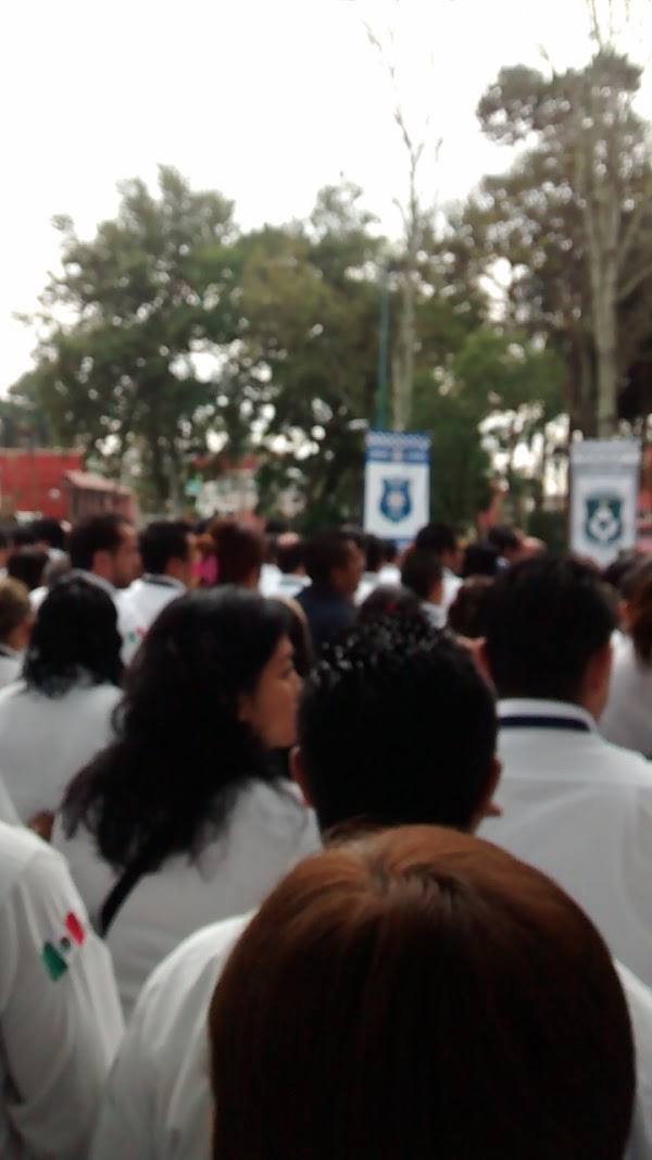 Халапа мексика