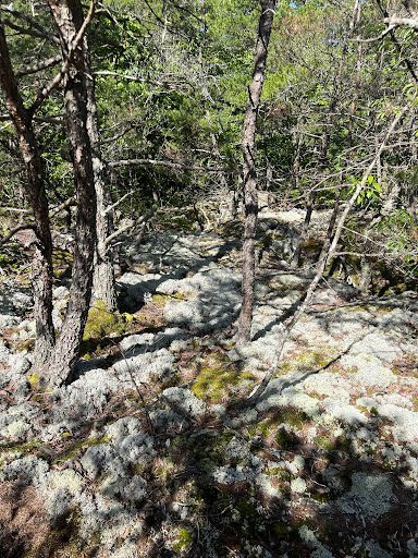 Zahnd Wildlife Management Area - Thumbnail