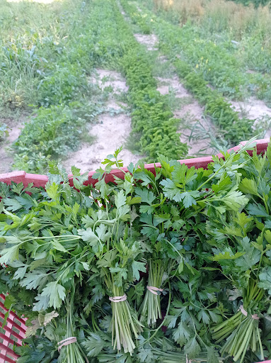 Les légumes des Glaises