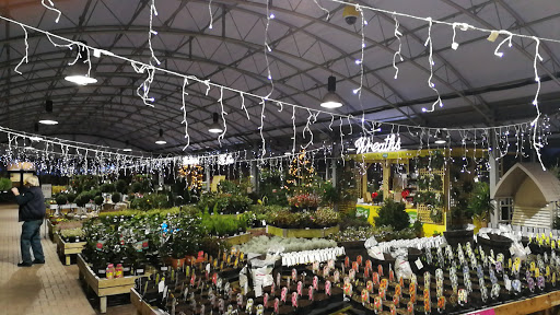 Dobbies Garden Centre Kings Lynn - Thumbnail