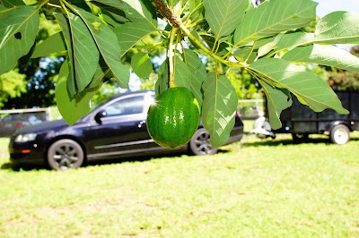 Photos of Erickson Farm