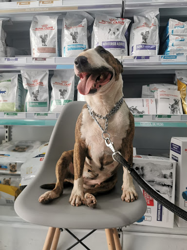 Clínica Veterinaria Uno Más