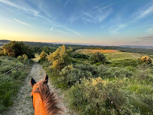 Photo n°16 de Camping Yelloh Village Domaine d'Arnauteille à Montclar (Terrain pour camping-cars)