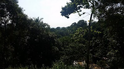 Photos of Tarzan Stores