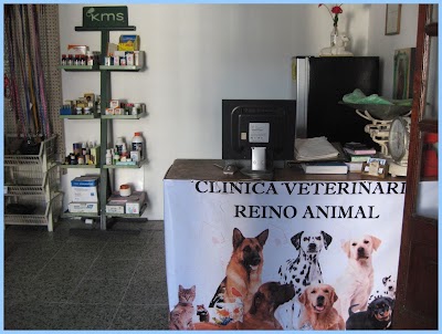 Photos of Reino Animal Cl&iacute;nica Veterinaria Y Peluqueria Canina