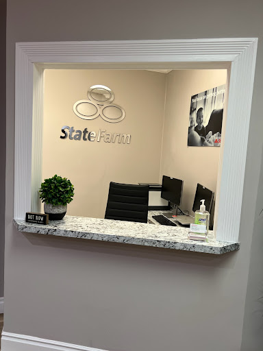 Denise DeCosta - State Farm Insurance Agent - Thumbnail
