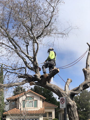 New Green Earth Tree care Inc.