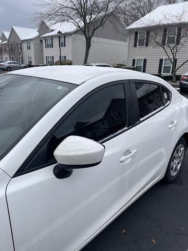 Addie's Tints - Visual