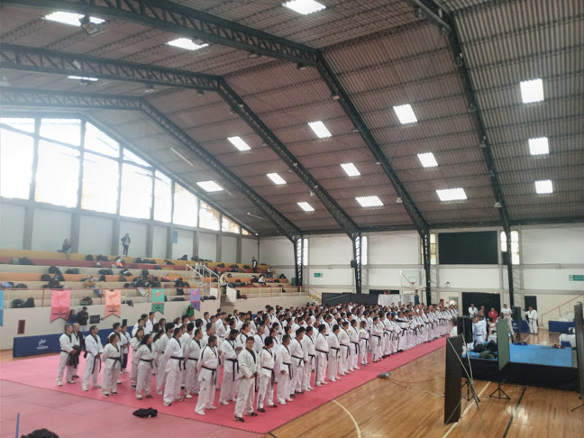 Escuela de Taekwondo y Artes Marciales "Taebaek" (Centro Historico) - Tienda de deporte