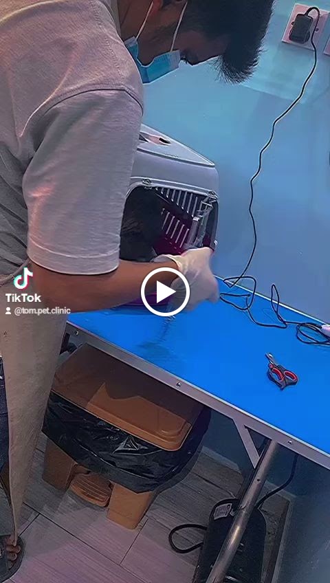 عيادة توم الاليف البيطرية - صورة 2