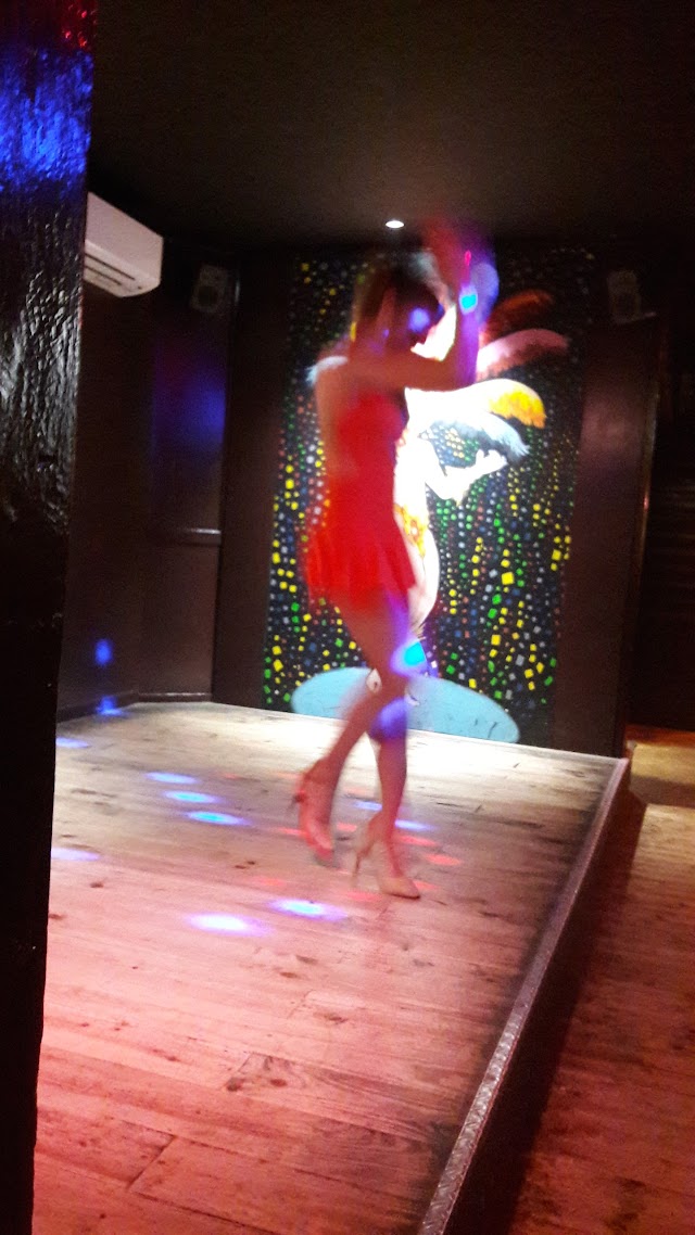 Le Fiesta Latina